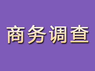 黄龙商务调查